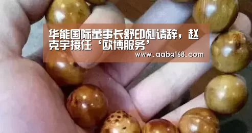 华能国际董事长舒印彪请辞,赵克宇接任‘欧博服务’(图1) 欧博手机版